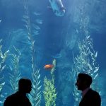 Tom Ellis Instagram - Something very Fishy is going on between the brothers in #Luciferseason5B...find out exactly what In just 2 more days!!!!! 😈