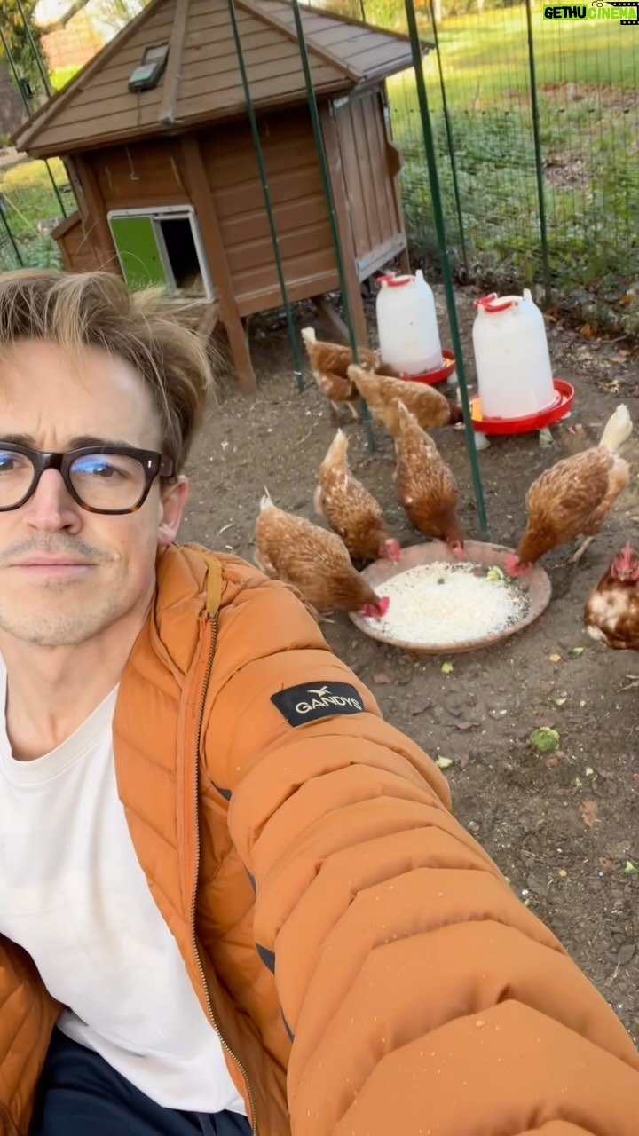 Tom Fletcher Instagram - How today started vs how it ended…🐓🎸