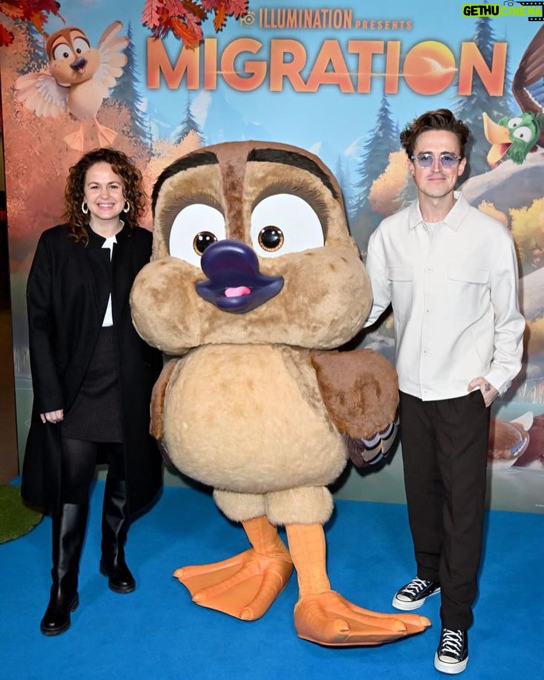 Tom Fletcher Instagram - I absolutely loved watching Migration with the family today. @mrsgifletcher and I had a blast voicing Joe and Ellie and it was so awesome getting to see the whole movie. It’s genuinely a really brilliant family adventure, full of heart and laughs. Go see it. It’s great! @universalpicturesuk @illuminationent #migrationmovie