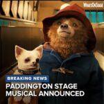 Tom Fletcher Instagram - The news is out! PADDINGTON: THE MUSICAL (working title) is happening! I still can’t believe that I get to write the songs for what is going to be an incredibly special show and work with such ridiculously talented people - @jessicaswale @lukejshepparduk @brindmatthew and so many more. We will look after this bear.