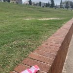Tom Hanks Instagram - Kids sock, washed ashore. Lost ashore. Bondi Beach. New South Wales. Hanx.