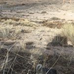 Tom Hanks Instagram - Land of Enchantment. And lost gloves. Hanx.
