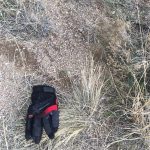 Tom Hanks Instagram - The glove that made Milwaukee famous? Hanx