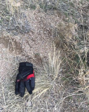Tom Hanks Instagram - The glove that made Milwaukee famous?  Hanx
