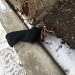 Tom Hanks Instagram - Sock? Glove? Lost? Abandoned? So many questions. Hanx