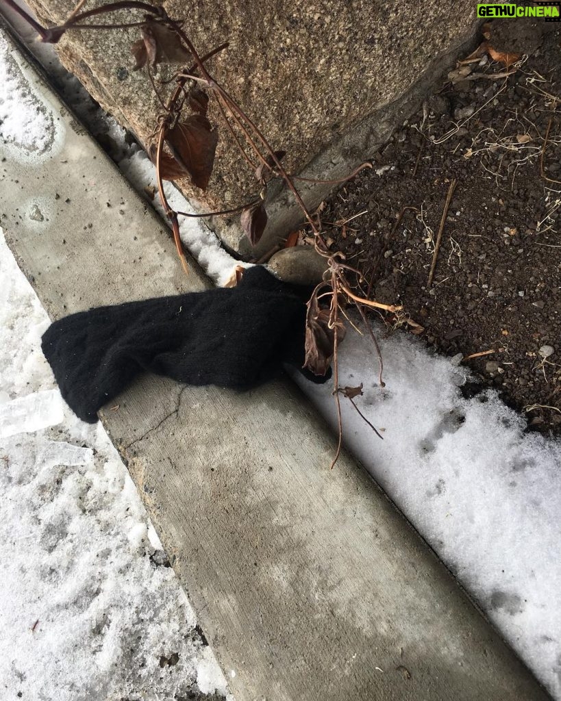Tom Hanks Instagram - Sock? Glove? Lost? Abandoned? So many questions. Hanx