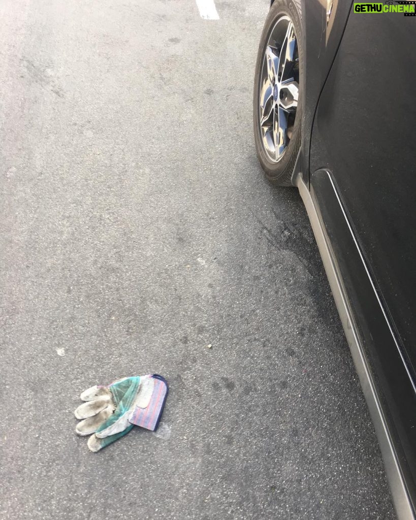 Tom Hanks Instagram - My car, yes, but I ran over no one! Hanx