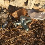Tom Hanks Instagram - There’s no hot water. Why is there no hot water? Hanx.