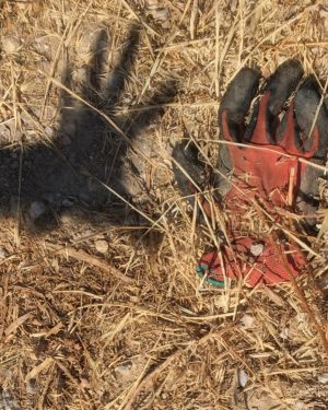 Tom Hanks Instagram - What’s missing? The Shadow knows. Hanx!