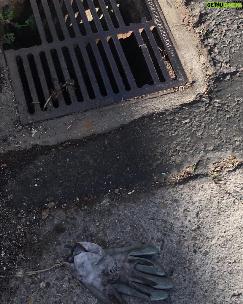 Tom Hanks Instagram - Beware! Who climbed out of that sewer??? Hanx.