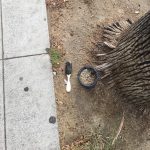 Tom Hanks Instagram - This is why my hair looks such a mess! Hanx