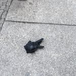 Tom Hanks Instagram – Insect? Bunny rabbit? Bird beak? Nope. Lost single glove, made of leather. Pricey loss. Hanx.