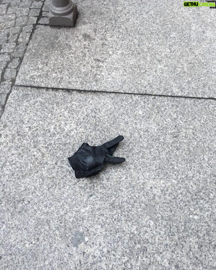 Tom Hanks Instagram - Insect? Bunny rabbit? Bird beak? Nope. Lost single glove, made of leather. Pricey loss. Hanx.