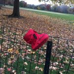 Tom Hanks Instagram - Why is the baby so fussy? Here's why! Cold out there. Hanx.