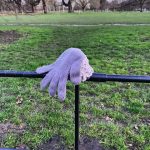 Tom Hanks Instagram - “I lost my partner. I was walking in the park. Now, alone. Alas.” Haiku by Hanx