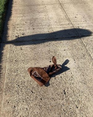 Tom Hanks Instagram - Look!  Little lost bunny? Hanx