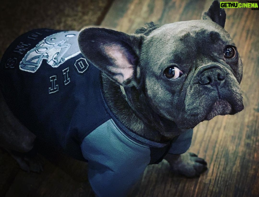 Tom Hardy - 421.8K Likes -