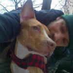 Tom Hardy Instagram - Cass was an XL Bully type she was a deeply kind and loving sensitive puppy and companion.