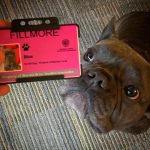 Tom Hardy Instagram -