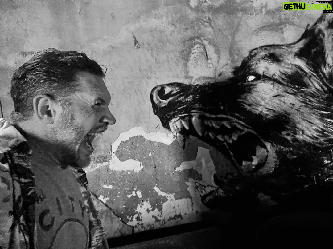 Tom Hardy - 450.4K Likes - V3🔥♠️💯❤️