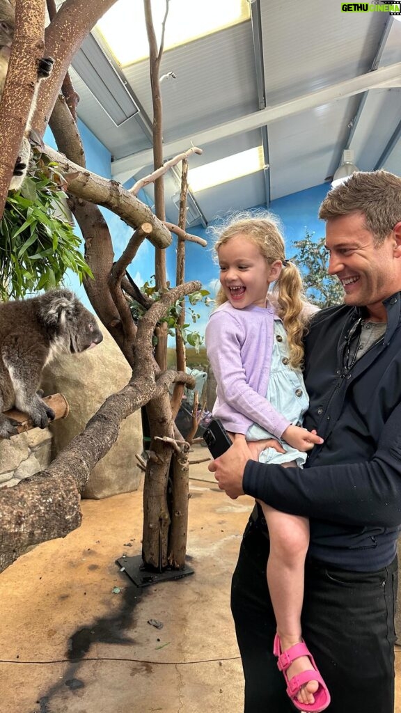 Tom Hopper Instagram - Happy Birthday Truly Hopper! Can’t quite believe you’re 5! We had the best time at @longleatofficial for Truly’s birthday. I let them know that Truly is OBSESSED with Koalas, and they offered to surprise her and with a one on one Koala experience. She was so happy. They also had her meet and feed loads of other animals along the way. Huge thank you to the team at @longleatofficial for a fantastic experience 🙏🏼 Longleat Safari Park