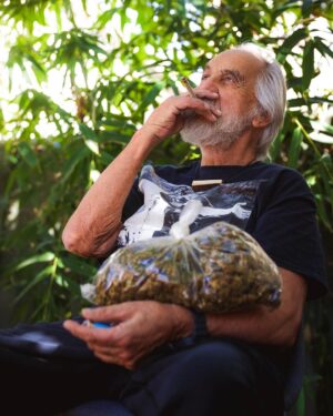 Tommy Chong Instagram - Feeling blessed this morning reflecting on how far @cheechandchong have come! I'm stoked to share more 🌲 with my pals across the land. It's all about spreading love, laughter, and higher vibrations, man! ✌️