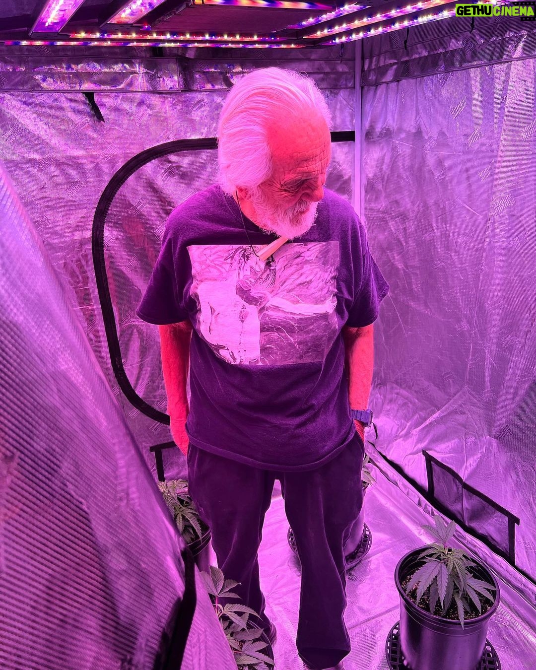 Tommy Chong Instagram - Just chillin' in my green oasis 🌲, feeling so connected to Mother Earth ✌️. These lovely plants are my best friends.