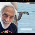 Tommy Chong Instagram - This was absolutely legendary man! Definitely stopped me in my stoney scrollin’ tracks 😂✌️ Well done @mark.smith.photography 😍💚 @heytommychong #Bowlmates