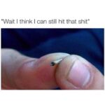 Tommy Chong Instagram - Tag that homie 😂