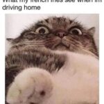 Tommy Chong Instagram - Too accurate man
