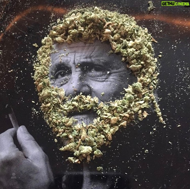 Tommy Chong Instagram - Did I get anything on my stache?