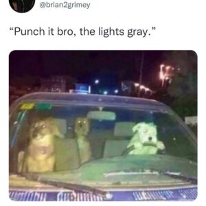 Tommy Chong Instagram - I think we’re parked man