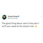 Tommy Chong Instagram - 👌👌