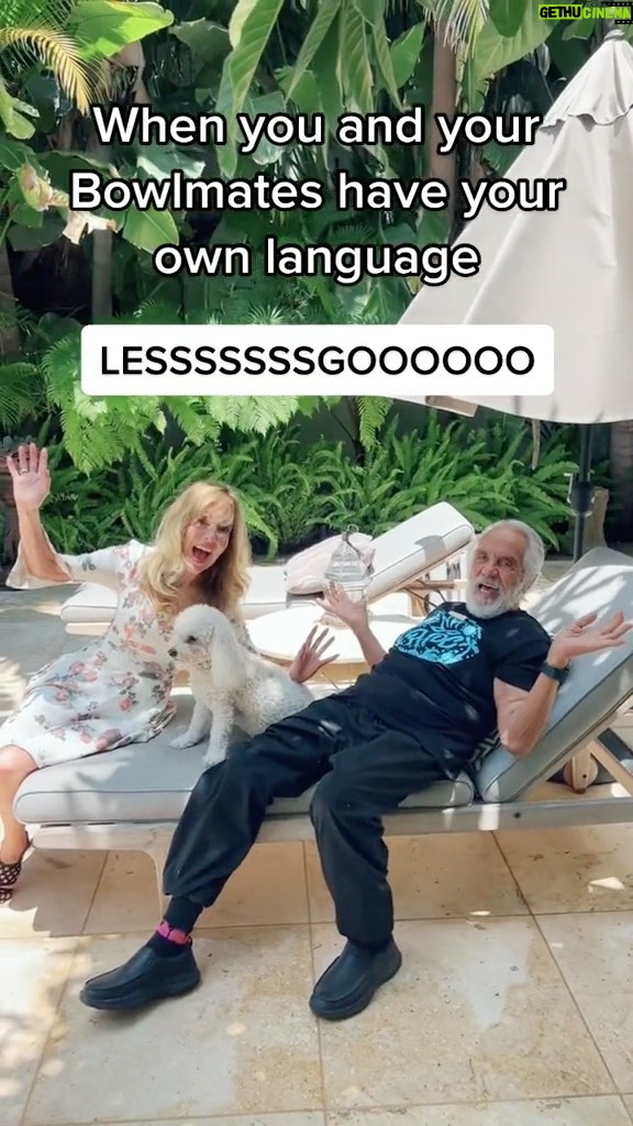 Tommy Chong Instagram - @funnyshelby Mee moo mee moo 🤝