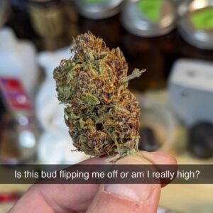 Tommy Chong Instagram - 😤