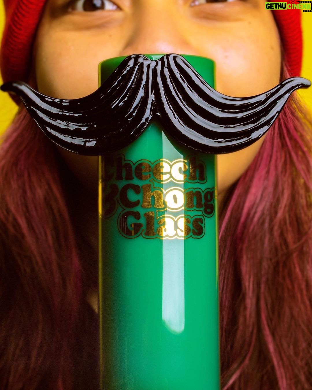 Tommy Chong Instagram - Check out the new Moustache Ride Water Pipe from @cheechandchongglass This moustachioed marvel is the signature water pipe and is made of 100% borosilicate glass with a scalloped ice catcher and an iconic moustache design on the front of the mouthpiece. Smoke your stash with a stache and get yours today! . . . . . #wcg #westcoast #westcoastgifts #cannabisculture #smokeshop #smokeshops #smokeshopowners #cheechandchong #cheechandchongglass #cheech #cheechmarin #chong #tommychong #mustache #moustache #bong #bongs