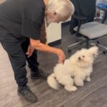 Tommy Chong Instagram - Showing off Captain’s talents before I record a pot-cast 💨🌳
