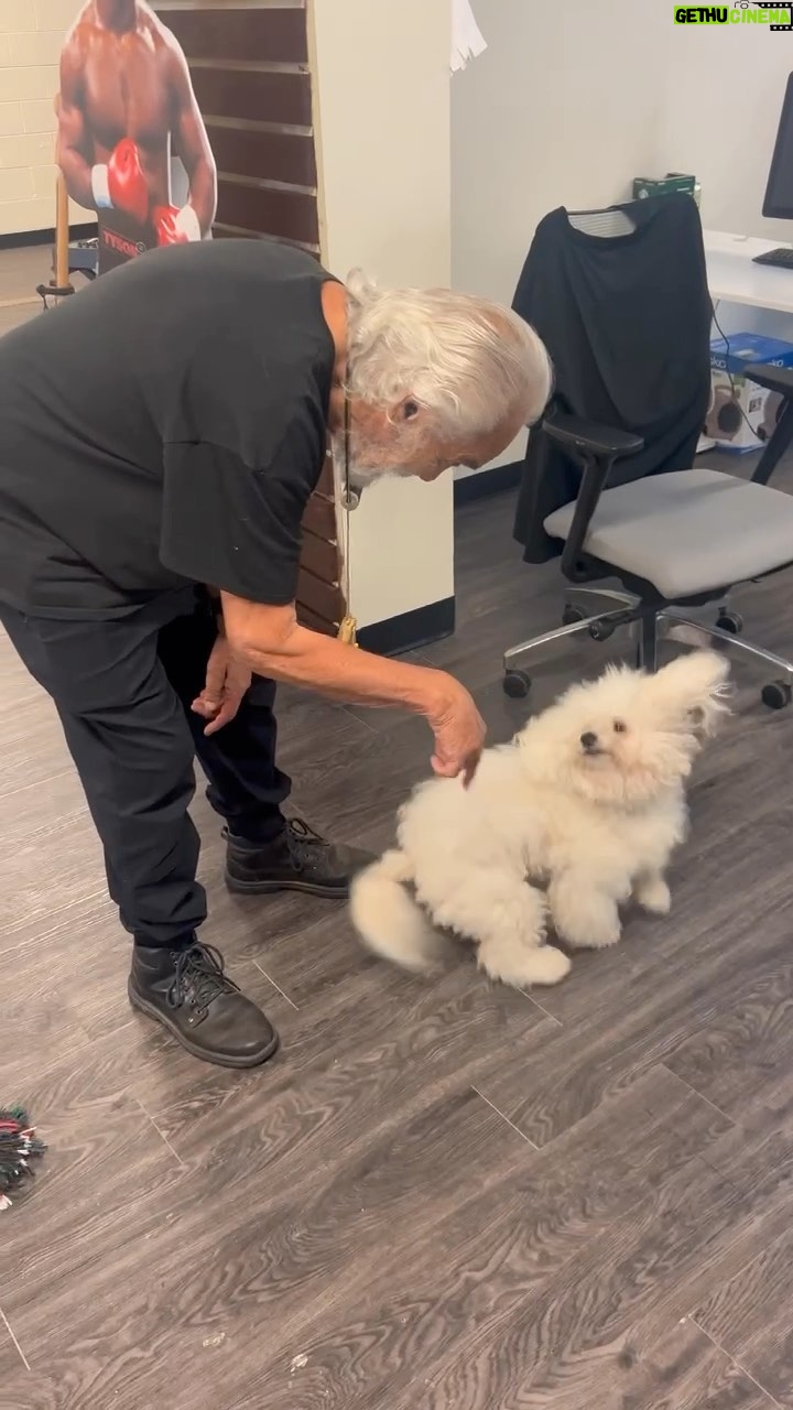 Tommy Chong Instagram - Showing off Captain’s talents before I record a pot-cast 💨🌳