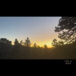 Tony Ferguson Instagram - 🪄💨🍃 -CSO- 🇺🇸🏆🇲🇽 # 🎶🏔️🎶 Fuck Shit Up This Week Crew🍃- Champ 🥋One. ⚔️🕶️ # McNugget🧃Monday # UnplugGoOutside 🔛 🔁