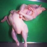 Tony Ferguson Instagram - You Know What Day It Is!!! McNugget💪😎Monday MF’a…. Ahhh Ok Maybe Its🤷‍♂️Not,.. But You Can🕵️‍♂️Imagine Eef’Eet’T’was 💯As Always The🕶Tradition Continues 📈 Goggle🦃Gobble MF’as & Season’s🎅Beatings Crew🍃- Champ 🕺 -CSO- 🇺🇸🏆🇲🇽 # Happy🦃Thanksgiving # Tis’The⛄️Season # 🥇