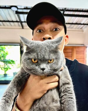 Tony Jaa Instagram - Seriously 🐈🐈🐈 
หน้าอย่างโหด แต่อยู่ในโหมดมุ้งมิ่ง 😎😎😎