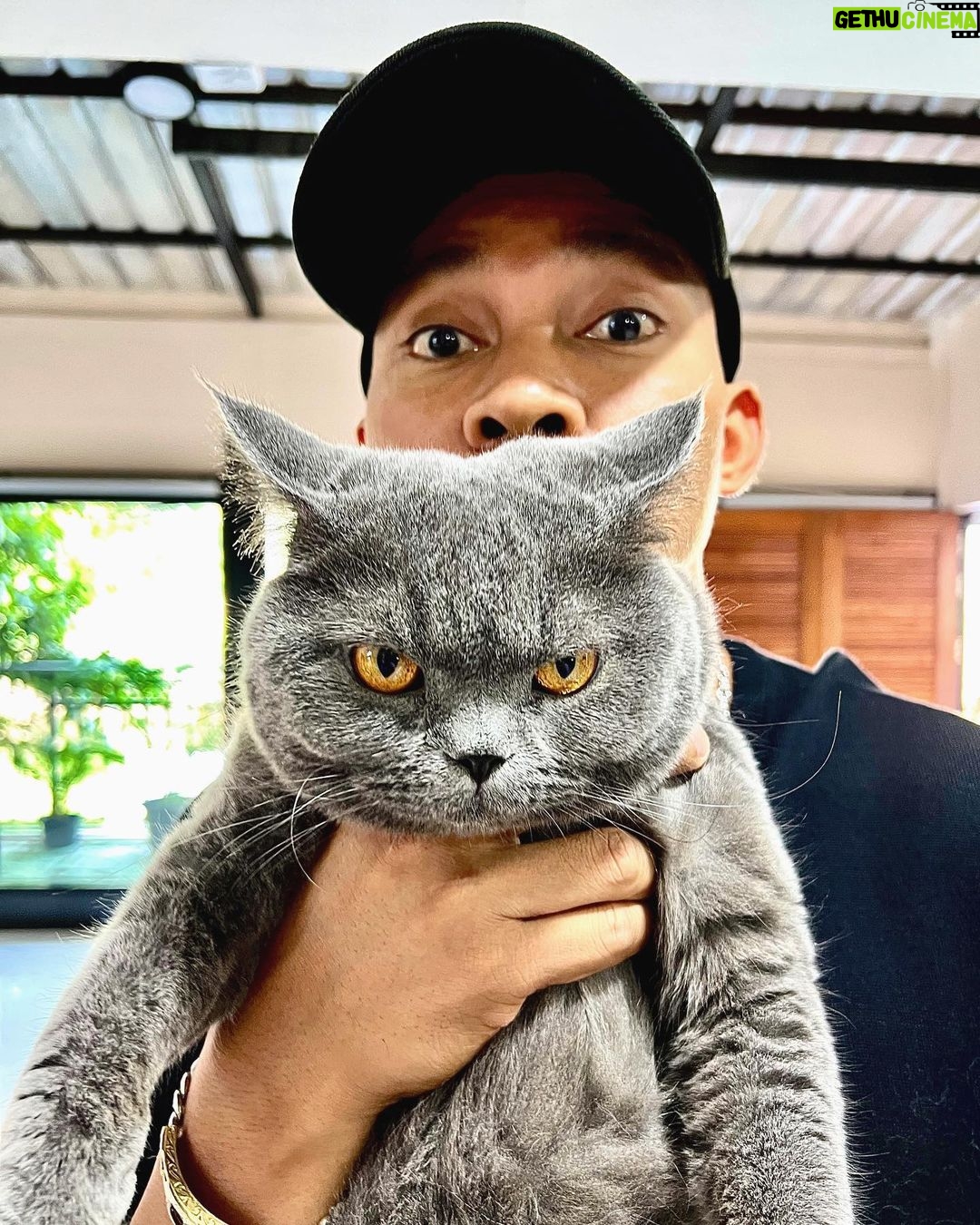 Tony Jaa - 19.6K Likes - Seriously 🐈🐈🐈
หน้าอย่างโหด แต่อยู่ในโหมดมุ้งมิ่ง 😎😎😎