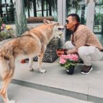 Tony Jaa Instagram - The Wolf my best friend.