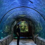 Tovino Thomas Instagram – 💙

You were born for so much more than you think !! New Orleans Aquarium