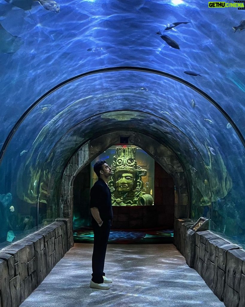 Tovino Thomas Instagram - 💙 You were born for so much more than you think !! New Orleans Aquarium