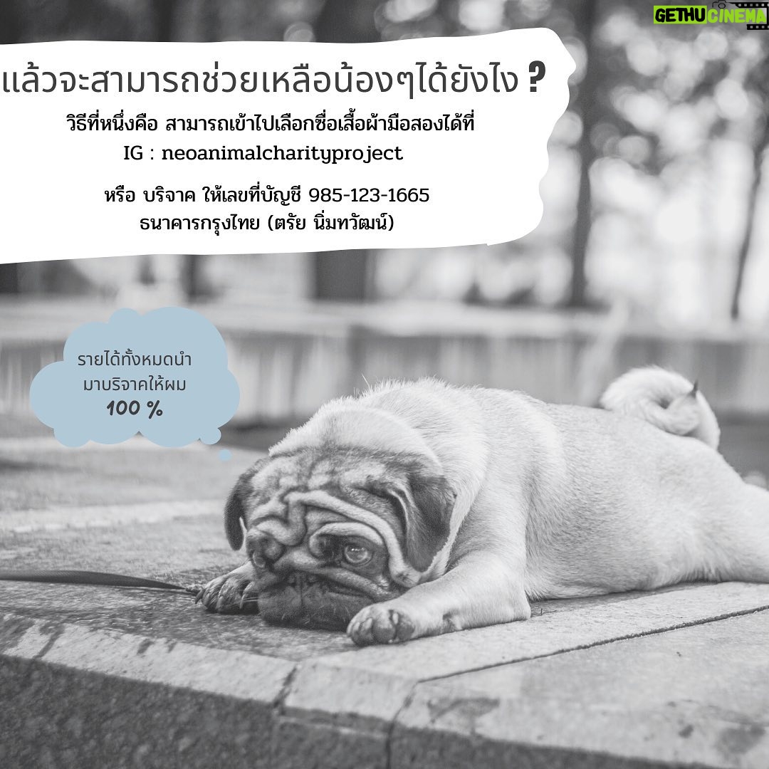 Trai Nimtawat Instagram - พอกล้ามเนื้อเริ่มมากขึ้นเสื้อผ้าเก่าๆก็ใส่ไม่ได้ ผมจึงนำเสื้อผ้ามือสองออกมาขายเพื่อนำรายได้ทั้งหมดไปบริจาคให้มูลนิธิสงเคราะห์บ้านสัตว์พิการ สามารถเลือกดูได้ที่ @neoanimalcharity.project