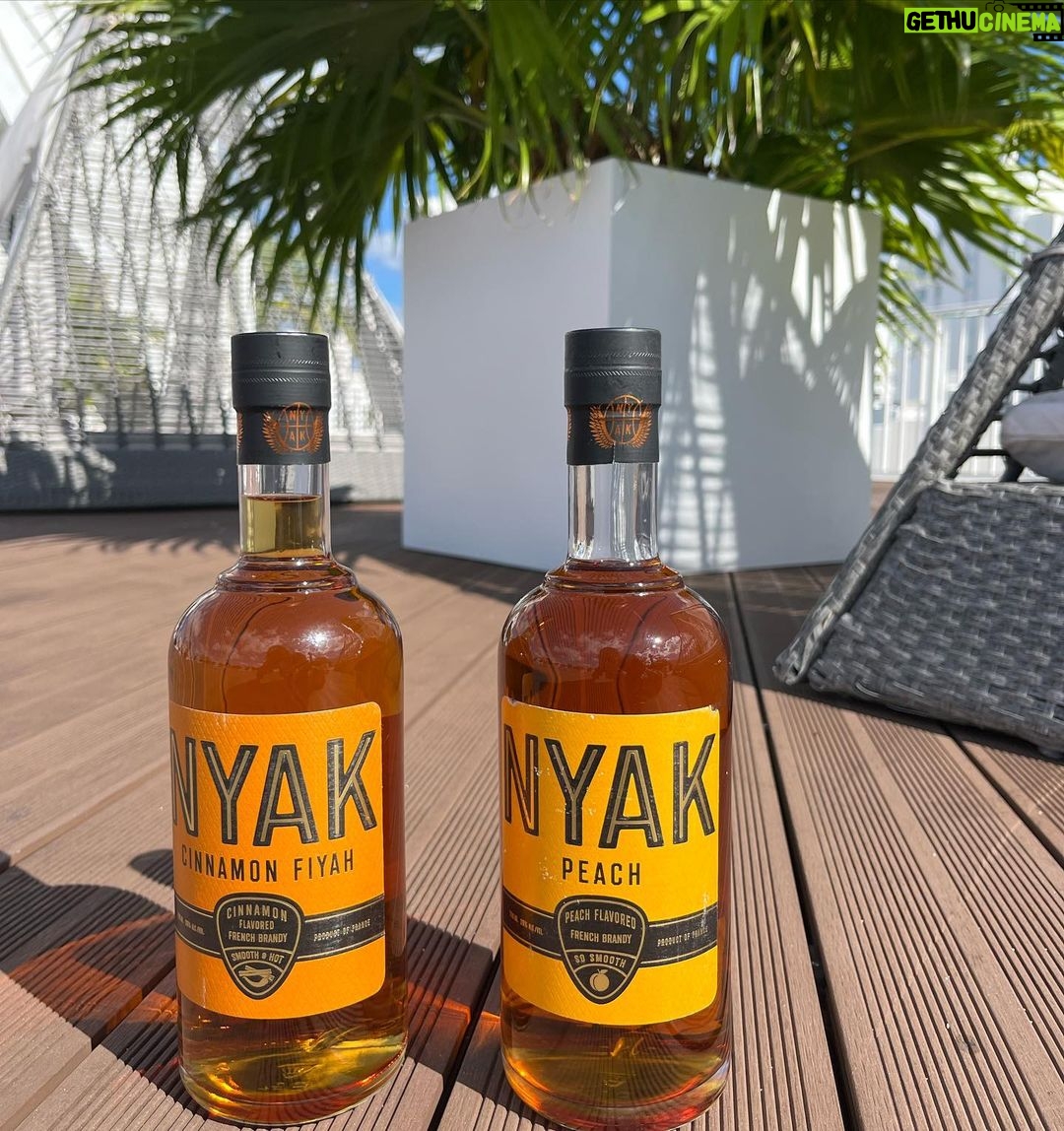 Trina Instagram - What ya drinking tonight? @nyakcognac 🥃