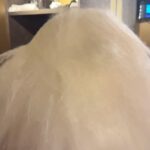 Trixie Mattel Instagram - pussyana