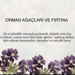 Tuba Büyüküstün Instagram - @uzm.simgesoydan 🧚🏼