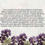 Tuba Büyüküstün Instagram - @uzm.simgesoydan 🧚🏼